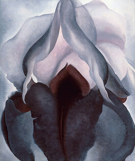 O'Keeffe: Black Iris