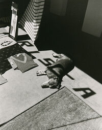 Dorothy Bohm: Paris