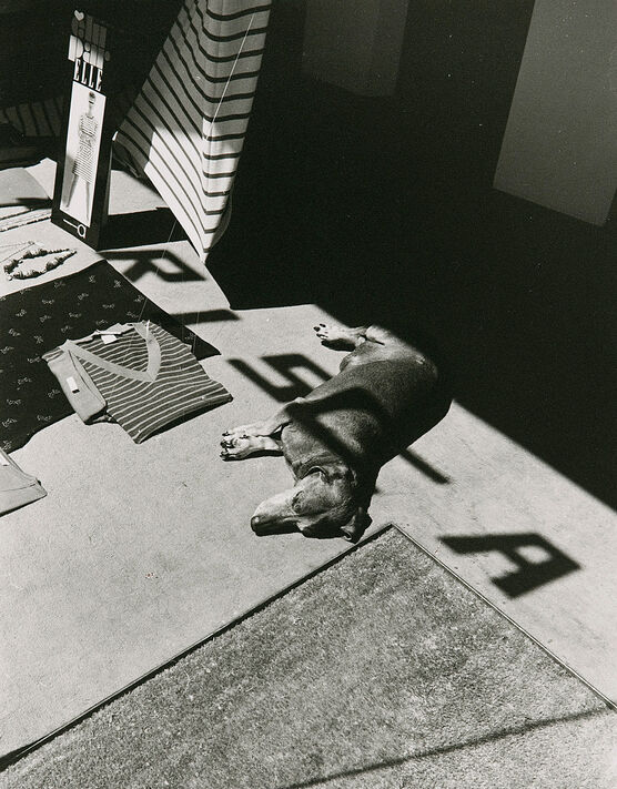 Dorothy Bohm: Paris