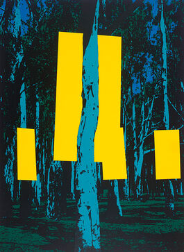 Menashe Kadishman: [title not known] 1969