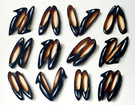Lisa Milroy: Shoes