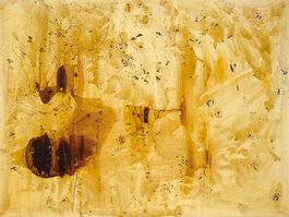 Polke: The Spirits that Lend Strength are Invisible V (custom prints)