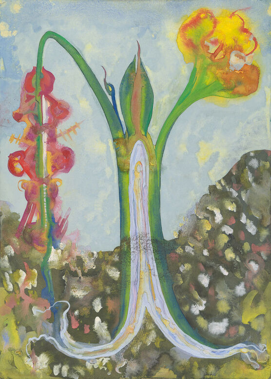 Ithell Colquhoun: Earth process